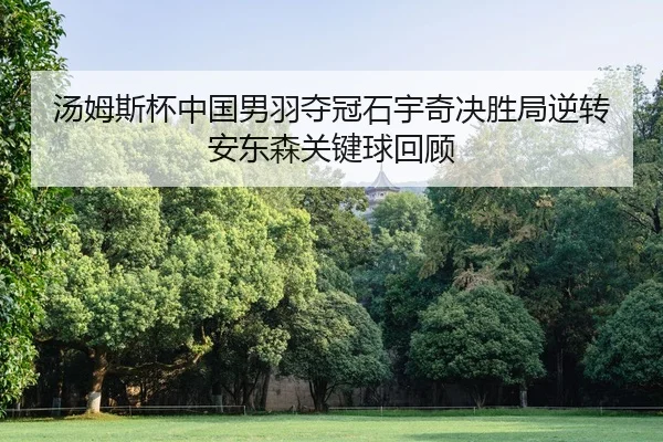 tang-mu-si-bei-zhong-guo-nan-yu-duo-guan-shi-yu-qi-jue-sheng-ju-ni-zhuan-an-dong-sen-guan-jian-qiu-hui-gu-2-336.jpg